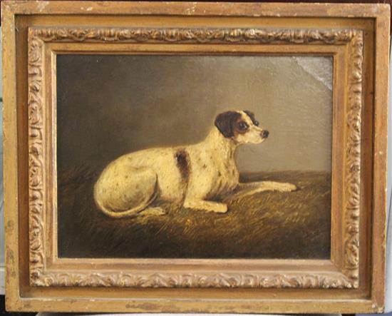 19th century English School Study of a hound, 10 x 13in.